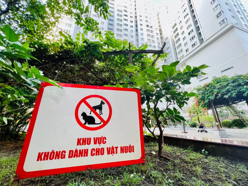 nhà trọ hay chung cư